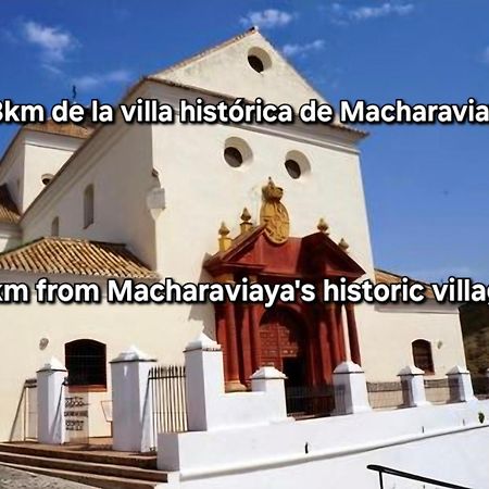 El Maurel Villa Málaga Exterior foto